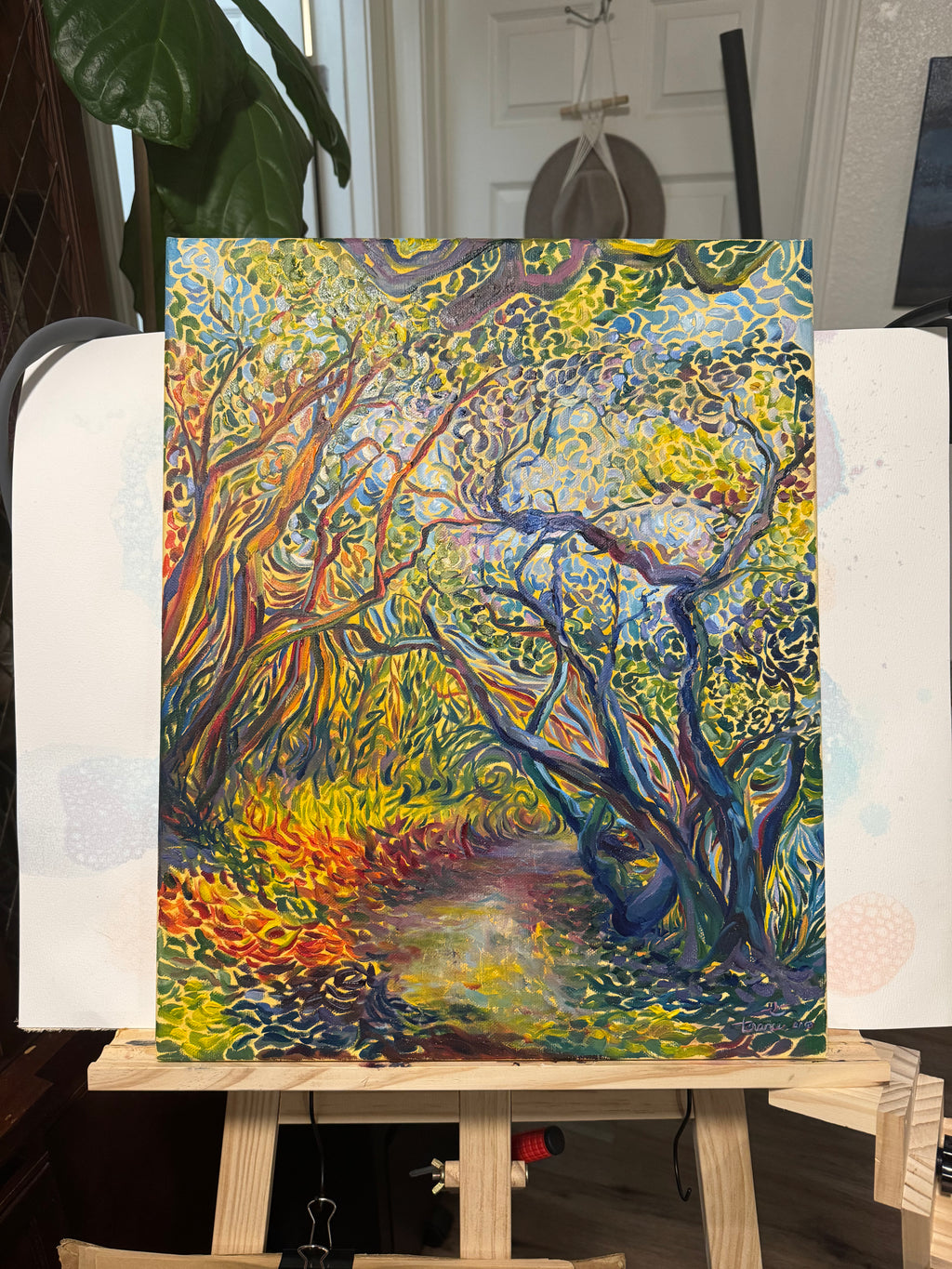 Plays With Light (award winning)