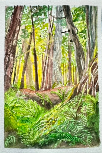 Pacific Northwest stationary set