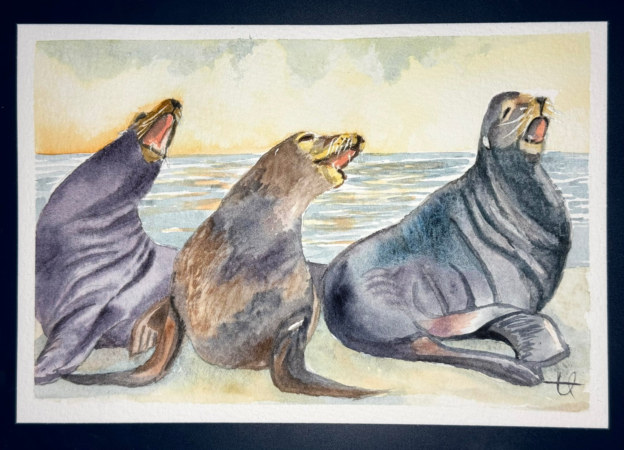 Pacific Northwest stationary set