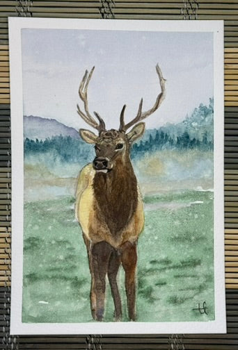 Pacific Northwest stationary set