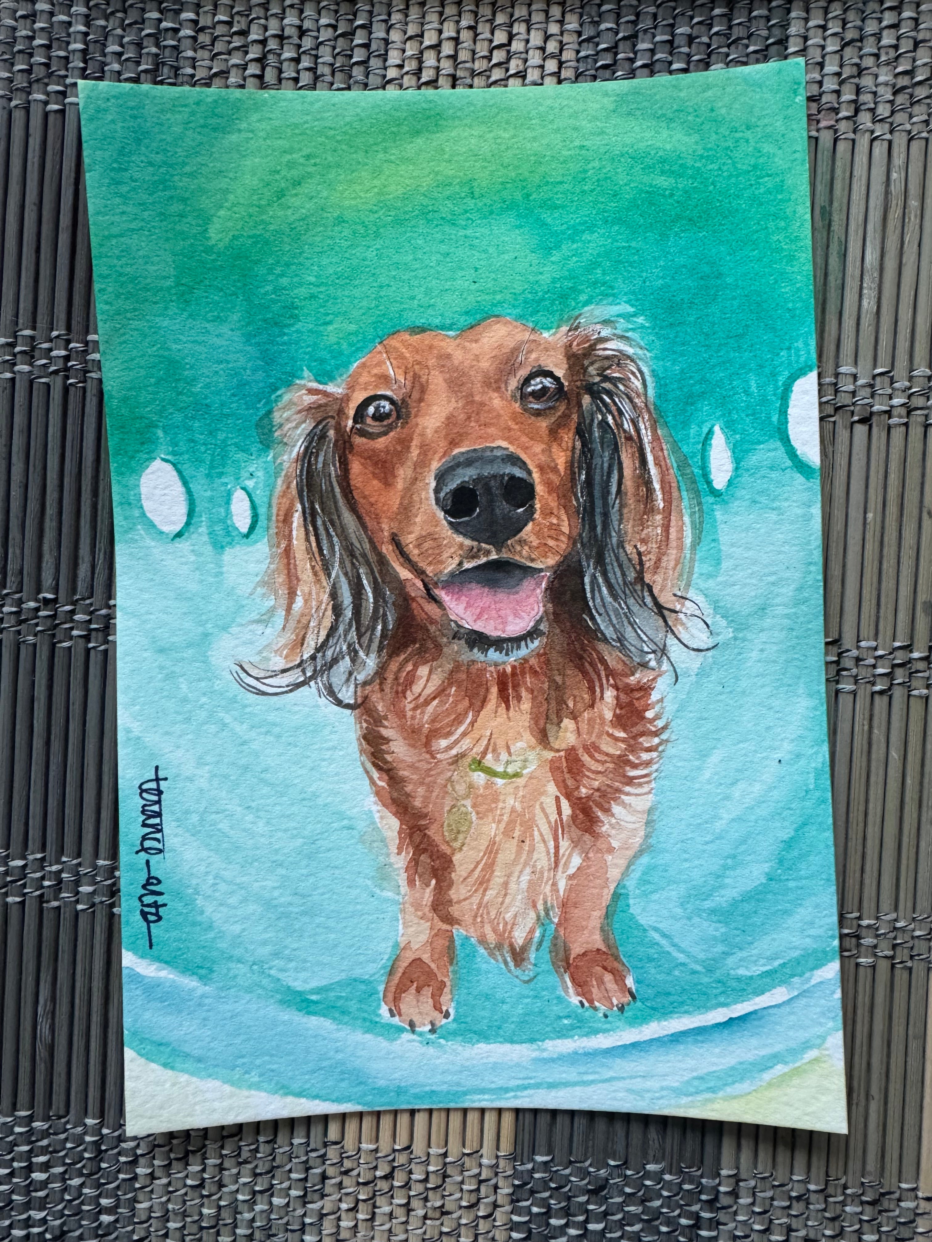 Pet Portrait 5x7 size