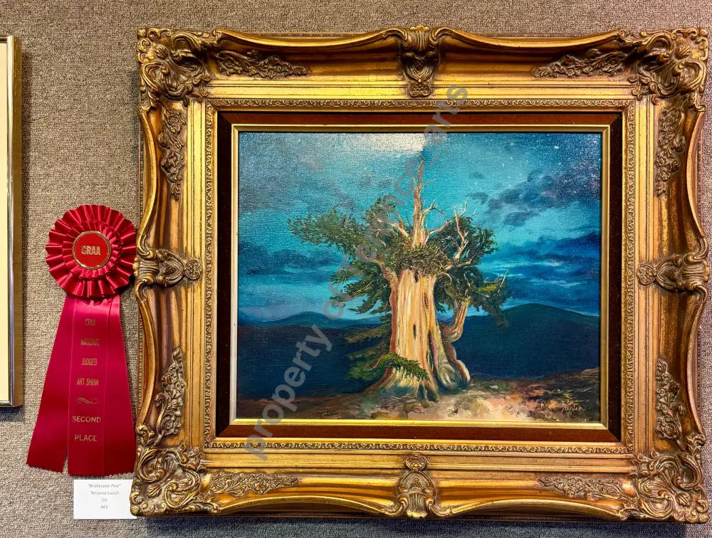 Bristlecone Pine (award winning) - oil
