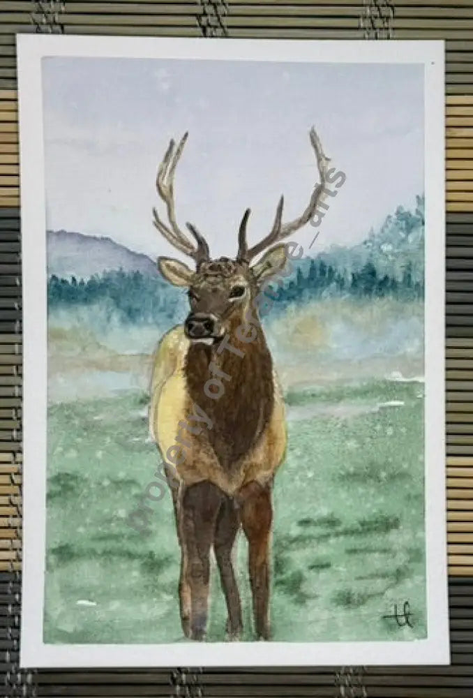 Pacific Northwest stationary set - stationary