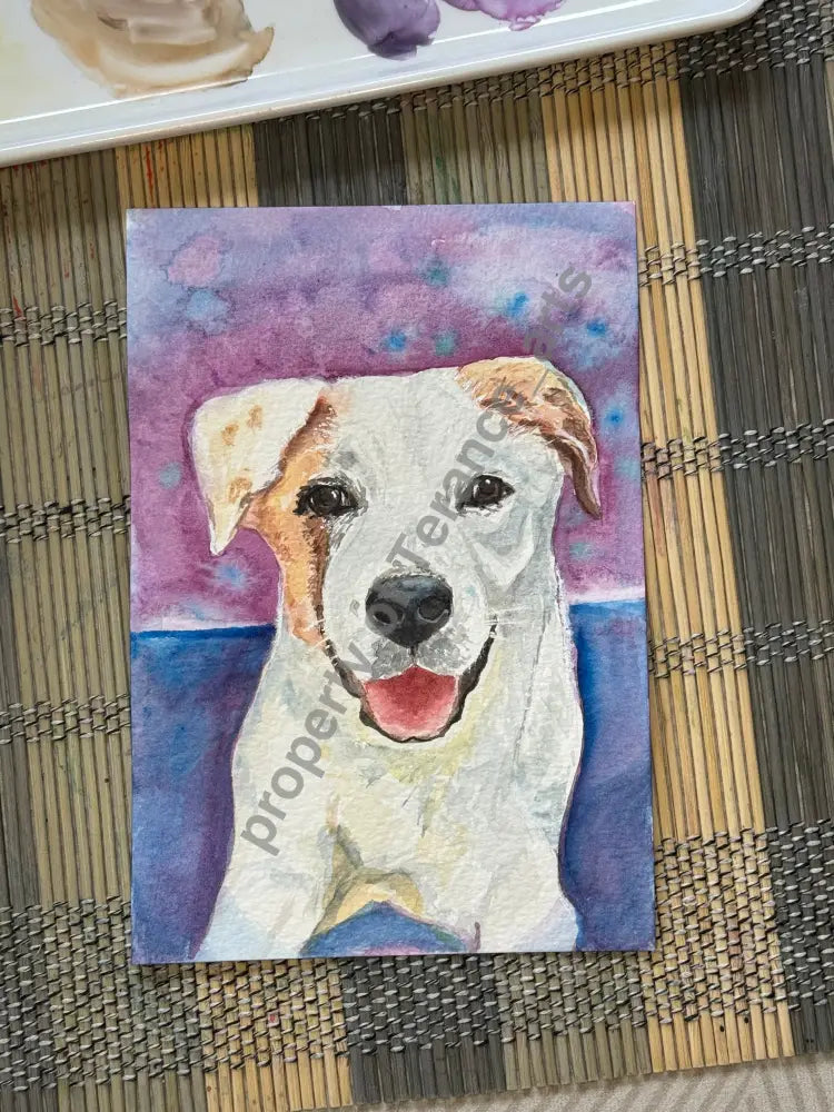 Pet portrait 11’’x14’’ size - watercolor
