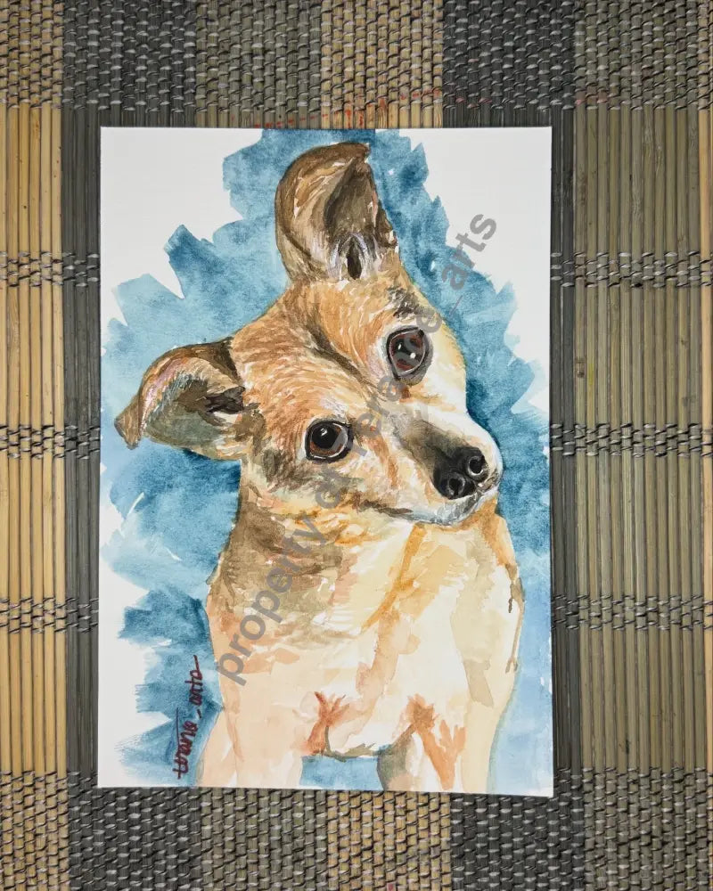 Pet Portrait 5x7 size