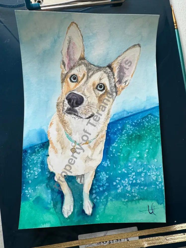 Pet Portrait 8x10 size - watercolor