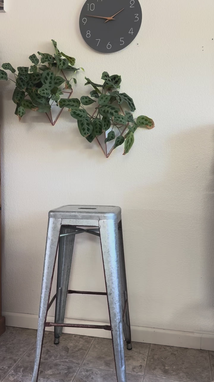 Plays With Light (award winning)